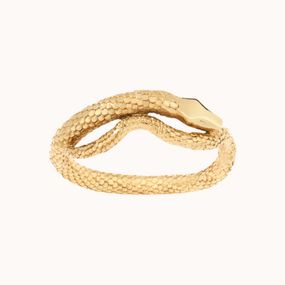 SERPENT